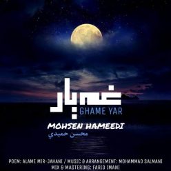 دانلود آهنگ محسن حمیدی غم یار با کیفیت 320